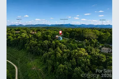 220 Riverview Drive, Asheville, NC 28806 - Photo 28