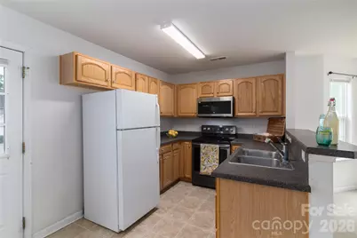 10553 Trolley Run Drive, Cornelius, NC 28031 - Photo 12
