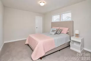 26019 Appleyard Ct, Lancaster, SC 29720 - Photo 12