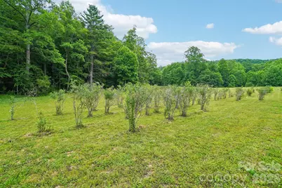 246 Appalachian Retreat None, Spruce Pine, NC 28777 - Photo 32