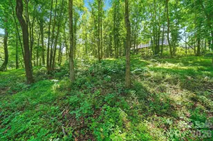 309 Walking Horse Trail, Davidson, NC 28036 - Photo 42