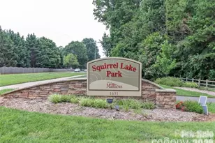1518 Squirrel Lake Ct, Matthews, NC 28105 - Photo 32