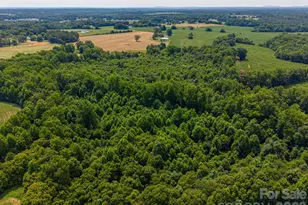 1403 Wehunt Store Rd, Cherryville, NC 28021 - Photo 44