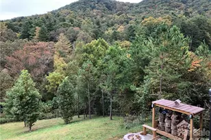 836 Burney Mountain Rd, Fletcher, NC 28732 - Photo 14