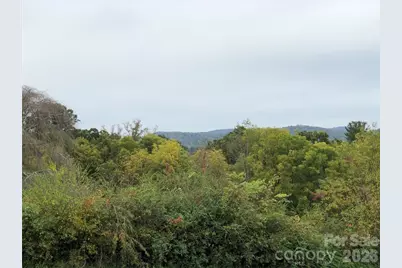 836 Burney Mountain Road, Fletcher, NC 28732 - Photo 2
