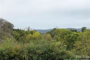 836 Burney Mountain Rd, Fletcher, NC 28732 - Photo 2