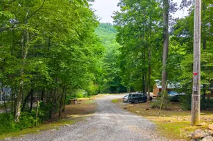 231 Cedar Creek Farm Rd, Tuckasegee, NC 28783 - Photo 18