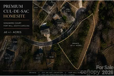 12127 Song Bird Court, Tega Cay, SC 29708 - Photo 2