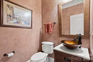 132 Pinnacle Peak Ln, Flat Rock, NC 28731 - Photo 24