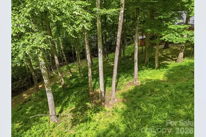 176 Ravens View, Boone, NC 28607 - Photo 34