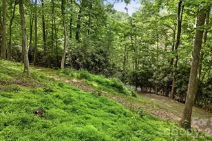 176 Ravens View, Boone, NC 28607 - Photo 36