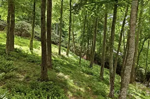 176 Ravens View, Boone, NC 28607 - Photo 38