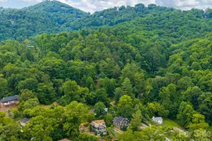 80 Bassett Rd, Asheville, NC 28804 - Photo 36