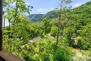 950 Main St, Chimney Rock, NC 28720 - Photo 26