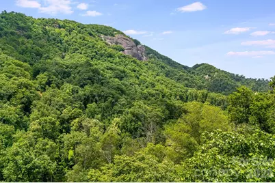 950 Main Street #5, Chimney Rock, NC 28720 - Photo 28
