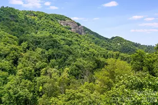 950 Main St, Chimney Rock, NC 28720 - Photo 28