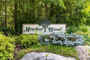22 Meadow Brook Dr, Fletcher, NC 28732 - Photo 44