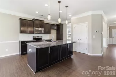 217 Hydrangea Drive, Clover, SC 29710 - Photo 12