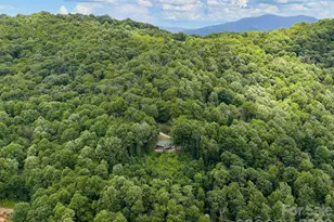 153 Windalier Ln, Waynesville, NC 28786 - Photo 36