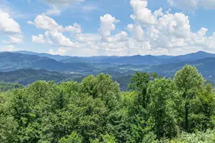 153 Windalier Ln, Waynesville, NC 28786 - Photo 10