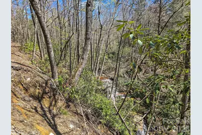 999 Bulling Creek Drive, Hendersonville, NC 28739 - Photo 14