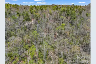 999 Bulling Creek Drive, Hendersonville, NC 28739 - Photo 36