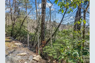 999 Bulling Creek Drive, Hendersonville, NC 28739 - Photo 6