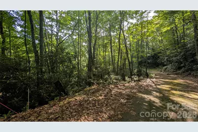 00 Chestnut Walk #3,4,5, Waynesville, NC 28786 - Photo 10