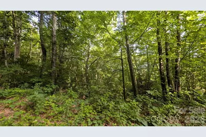 00 Chestnut Walk #3,4,5, Waynesville, NC 28786 - Photo 8