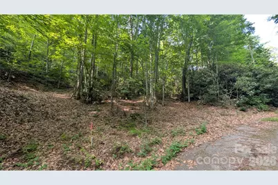 00 Chestnut Walk #3,4,5, Waynesville, NC 28786 - Photo 2