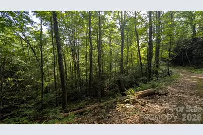 00 Chestnut Walk #3,4,5, Waynesville, NC 28786 - Photo 20