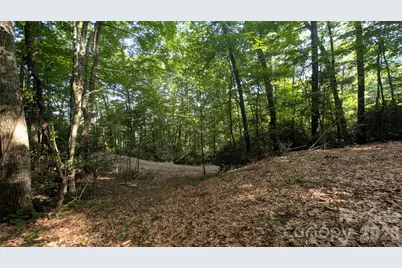 00 Chestnut Walk #3,4,5, Waynesville, NC 28786 - Photo 4