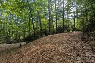 00 Chestnut Walk, Waynesville, NC 28786 - Photo 1