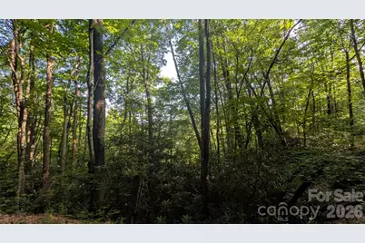 00 Chestnut Walk #6,7,8, Waynesville, NC 28786 - Photo 22