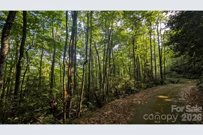 00 Chestnut Walk #6,7,8, Waynesville, NC 28786 - Photo 8