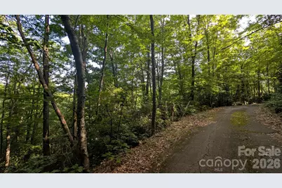 00 Chestnut Walk #6,7,8, Waynesville, NC 28786 - Photo 6