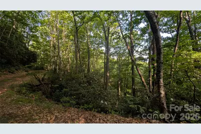 00 Chestnut Walk #6,7,8, Waynesville, NC 28786 - Photo 4