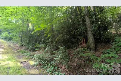 00 Chestnut Walk #6,7,8, Waynesville, NC 28786 - Photo 16