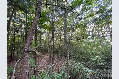 225 Lucerne Drive, Canton, NC 28716 - Photo 18