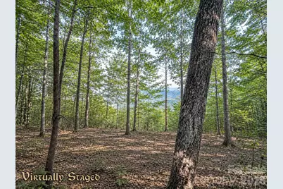 225 Lucerne Drive, Canton, NC 28716 - Photo 16