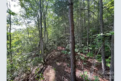 225 Lucerne Drive, Canton, NC 28716 - Photo 32