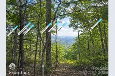 225 Lucerne Drive, Canton, NC 28716 - Photo 10