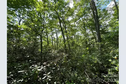 225 Lucerne Drive, Canton, NC 28716 - Photo 28