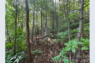 225 Lucerne Drive, Canton, NC 28716 - Photo 30