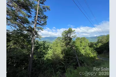 225 Lucerne Drive, Canton, NC 28716 - Photo 4