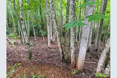 724 Streamside Drive, Arden, NC 28704 - Photo 10