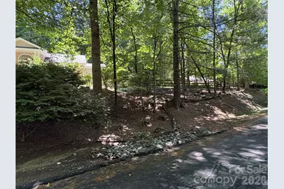 206 Camellia Way, Laurel Park, NC 28739 - Photo 4
