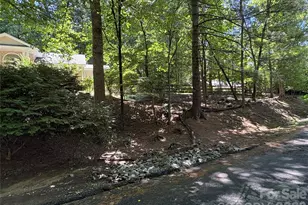 206 Camellia Way, Laurel Park, NC 28739 - Photo 4