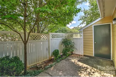 807 Sardis Cove Drive, Charlotte, NC 28270 - Photo 28