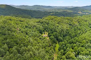 528 Baccus Siding Rd, Green Mountain, NC 28740 - Photo 26